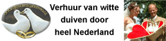 www.witteduivenservice.nl